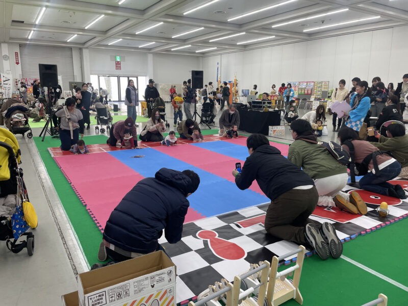 ハイハイレース