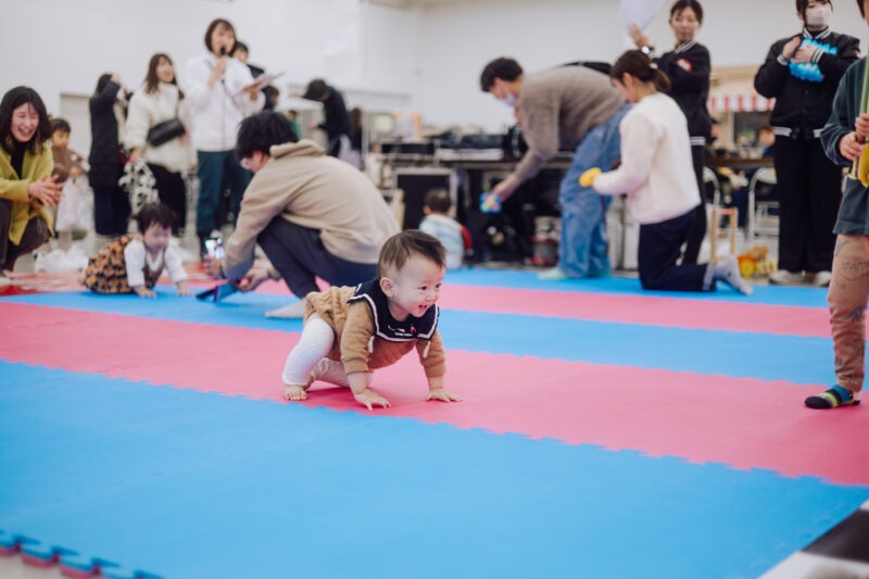 ハイハイレース2026