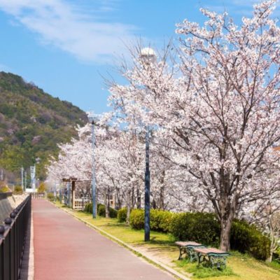 春日野ってどんな街？現地取材してきました｜広島ママpikabu