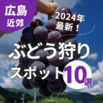 ぶどう狩りに！広島のおすすめ果物狩りスポット10選【2024最新】