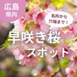 【河津桜】広島で早咲き桜が楽しめるスポット９選！名所から穴場まで